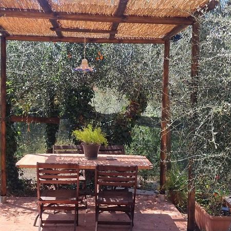 La Merla Del Tasso Camaiore Exterior foto