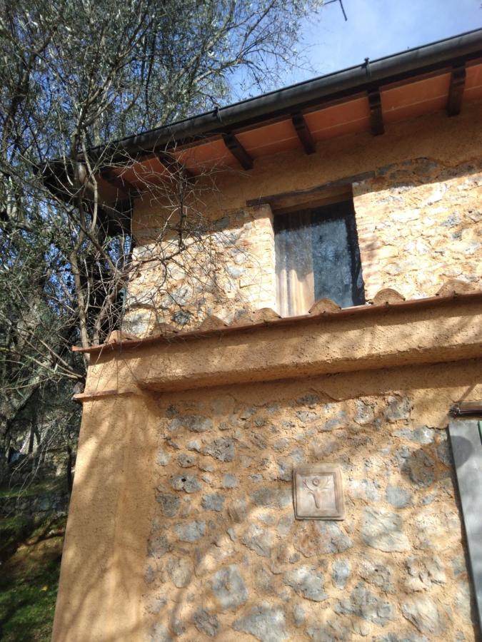 La Merla Del Tasso Camaiore Exterior foto