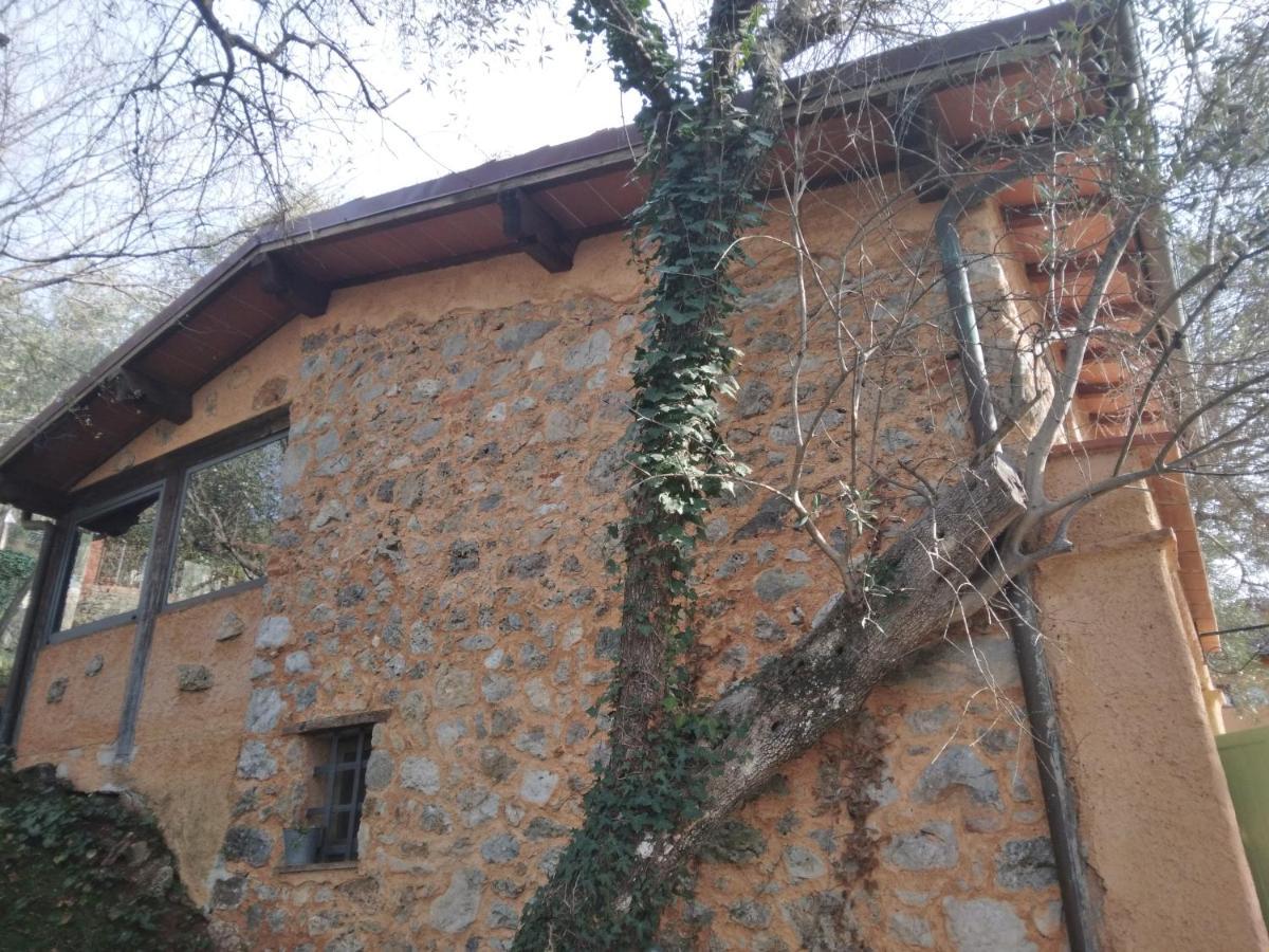 La Merla Del Tasso Camaiore Exterior foto