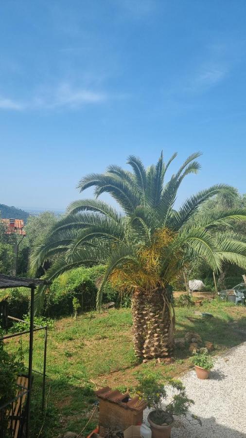 La Merla Del Tasso Camaiore Exterior foto