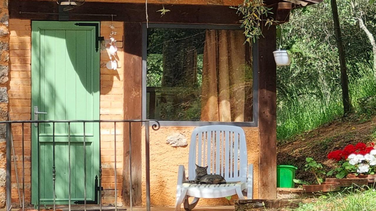 La Merla Del Tasso Camaiore Exterior foto